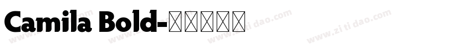 Camila Bold字体转换